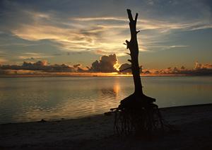 【公式】東横INN桐生駅南口｜群馬県桐生市のビジネスホテル｜快適な滞在と便利なアクセス