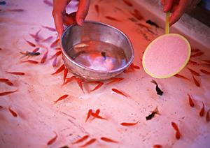 愛知県常滑市のビジネスホテル「東横INN中部国際空港1」の魅力と詳細情報