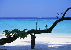 掛川駅から徒歩2分のビジネスホテル｜東横INN掛川駅新幹線南口の魅力と詳細情報
