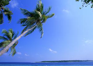 静岡駅から徒歩5分の快適ビジネスホテル！東横INN静岡駅北口の魅力と概要