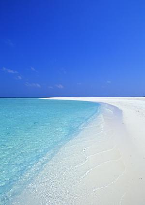 神戸市中心部に位置する東横INN神戸湊川公園の魅力と詳細ガイド