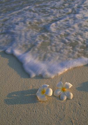 西鉄久留米駅近くのビジネスホテル｜東横INN西鉄久留米駅東口の魅力と施設情報