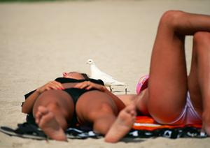 【公式情報】東横INN京浜東北線王子駅北口｜アクセス抜群のビジネスホテルの魅力と詳細情報