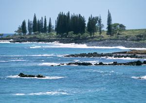 【公式情報】東横INN高松兵庫町：香川のビジネスホテルで快適な滞在を実現
